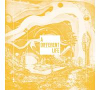 CATT : A Different Life CD (2025) NEW Incredible Value and Free Shipping