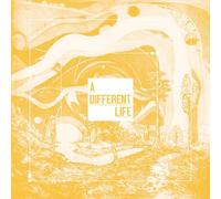 Catt – A Different Life – Vinyl – Broken Silence