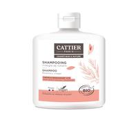 Cattier Oily Hair Shampoo Rosemary Vinegar 250 ml