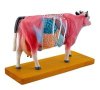 Cattle Acupuncture Model - Animal Points Anatomy Model with 68 Numbered Labels for Demonstration and Training Tool