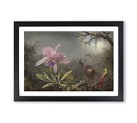 Cattleya Orchid and Hummingbirds by Martin Johnson Heade Framed Print | A2 Black Framed Wall Art | Ready to Hang | Modern Floral Picture | Living Room Bedroom Lounge Office