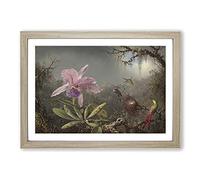 Cattleya Orchid and Hummingbirds by Martin Johnson Heade Framed Print | A2 Oak Framed Wall Art | Ready to Hang | Modern Floral Picture | Living Room Bedroom Lounge Office