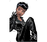 Catwoman TP Vol 01: Vol. 1