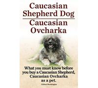Caucasian Shepherd Dog. Caucasian Ovcharka. What You Must Know Before You Buy a Caucasian Shepherd Dog, Caucasian Ovcharka as a Pet.