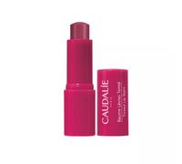 Caudalie Vinotherapist Tinted Lip Balm 4.5g
