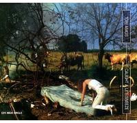 Caught a Lite Sneeze / That's What I Like Mick Single Edition by Amos, Tori (1996) Audio CD