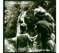 Caught in Flux by EYELESS IN GAZA (1999-09-07)