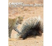 Caught in the Act: Lurking Death