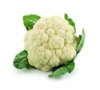 Cauliflower (Size 6/8)