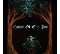 Cause of Our Joy - Cause of Our Joy