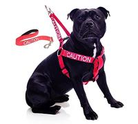 CAUTION (Do Not Approach) Red Colour Coded L-XL Non-Pull Dog Harness and 60cm 1.2m 1.8m Luxury Neoprene Padded Handle Lead Sets PREVENTS Accidents By Warning Others Of Your Dog In Advance (Harness & 60cm)