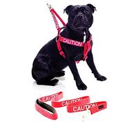 CAUTION (Do Not Approach) Red Colour Coded L-XL Non-Pull Dog Harness and 60cm 1.2m 1.8m Luxury Neoprene Padded Handle Lead Sets PREVENTS Accidents By Warning Others Of Your Dog In Advance (Harness & 1.2m)