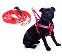CAUTION (Do Not Approach) Red Colour Coded L-XL Non-Pull Dog Harness and 60cm 1.2m 1.8m Luxury Neoprene Padded Handle Lead Sets PREVENTS Accidents By Warning Others Of Your Dog In Advance (Harness & 1.8m)