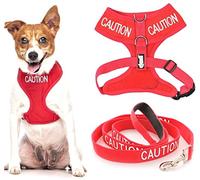 CAUTION (Do Not Approach) Red Colour Coded Non-Pull Front and Back D Ring Padded and Waterproof Vest Dog Harness S M and 1.2m or 1.8m Neoprene Padded Lead Set PREVENTS Accidents By Warning Others Of Your Dog In Advance (S & 1.8m)