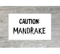 Caution Mandrake Vinyl Sticker - Fun Decal for Plant Pots and Planters Sticker ONLY (Plant and Pot not Included) (Large - 9cm x 18cm)
