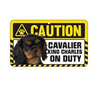 Caution Sign - Cavalier King Charles Spaniel - Ruby