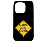 Caution Sign Dachshund Dog Funny Gift Wiener Puppy Case for iPhone 15 Pro