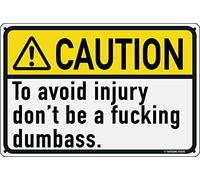 Caution To Avoid Injury Don't Be A Dumbass 12" x 8" Funny Tin Sign Work Office Cubicle Breakroom Home Shop Warehouse Heavy Machinery Warning Caution Home Decor