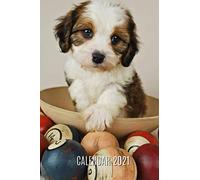 Cavachon Calendar 2021: Monthly & Weekly Calendar and Planner | Diary Notebook | Dog Log Book