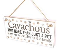 Cavachons Are Family Sign, Pawprint Border Decor