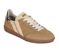 Caval Shoes (Trainers) PULSE CROCO SPELL in Beige 5
