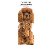 Cavalier King Charles 2025 Slim Calendar
