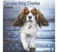 Cavalier King Charles Calendar 2025 Square Dog Breed Wall Calendar - 16 Month 9