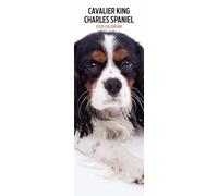 Cavalier King Charles 2026 Slim Calendar