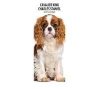 Cavalier King Charles 2027 Slim Calendar
