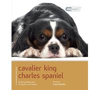 Cavalier King Charles - Dog Expert