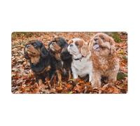 Cavalier King Charles Spaniel Autumn Puppies,Mouse Pad Large Desk Pad Computer Keyboard Mouse Mat with Non Slip Rubber Base 40 x 70 cm