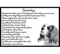Cavalier King Charles Spaniel Bereavement pet Loss Memorial Flexible Fridge Magnet - Someday