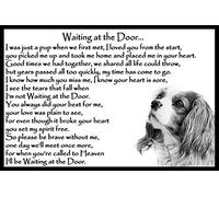 Cavalier King Charles Spaniel Bereavement pet Loss Memorial Flexible Fridge Magnet - Waiting at The Door
