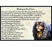 Cavalier King Charles Spaniel Bereavement pet Loss Memorial Flexible Fridge Magnet - Waiting at The Door