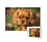 Cavalier King Charles Spaniel Brown Curly Dogs,300 Pieces Wooden Jigsaw Family Game Jigsaw Puzzles for Adults Teens Home Decor