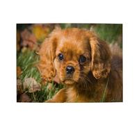 Cavalier King Charles Spaniel Brown Curly Dogs,500 Pieces Puzzles for Adults-Wooden Jigsaw Puzzle for Adults Elderly