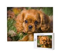 Cavalier King Charles Spaniel Brown Curly Dogs,500 Pieces Wooden Jigsaw Family Game Jigsaw Puzzles for Adults Teens Home Decor