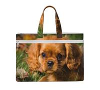 Cavalier King Charles Spaniel Brown Curly Dogs,Canvas Document Bag Zipper File Tote Bag Handbag Briefcase for School Office