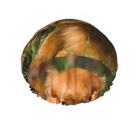Cavalier King Charles Spaniel Brown Curly Dogs,Shower Cap Nightcap Double Layer Waterproof Elastic Bath Cap Reusable Hair Cap