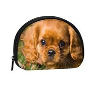 Cavalier King Charles Spaniel Brown Curly Dogs, Women's Storage Bag Shell Makeup Bag Small Coin Purse Shell Change Pouch