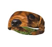 Cavalier King Charles Spaniel Brown Curly DogsHair Bands for Men Woman Headband Running Headband Sweat Wicking Gym