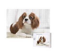 Cavalier King Charles Spaniel Brown Spaniel,300 Pieces Wooden Jigsaw Family Game Jigsaw Puzzles for Adults Teens Home Decor