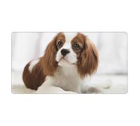 Cavalier King Charles Spaniel Brown Spaniel,Mouse Pad Large Desk Pad Computer Keyboard Mouse Mat with Non Slip Rubber Base 40 x 70 cm