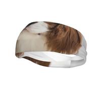Cavalier King Charles Spaniel Brown SpanielHair Bands for Men Woman Headband Running Headband Sweat Wicking Gym