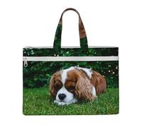 Cavalier King Charles Spaniel Brownish White,Canvas Document Bag Zipper File Tote Bag Handbag Briefcase for School Office