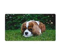 Cavalier King Charles Spaniel Brownish White,Mouse Pad Large Desk Pad Computer Keyboard Mouse Mat with Non Slip Rubber Base 40 x 70 cm