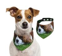 Cavalier King Charles Spaniel Brownish White,Pet Bib Scarf Cats Dog Bandana Dogs Towel Bib Adjustable Pet Scarf,S