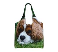 Cavalier King Charles Spaniel Brownish White,Reusable Tote Bags Grocery Bags Large Capacity Canvas Shopping Shoulder bag