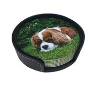Cavalier King Charles Spaniel Brownish White,Set of 6 Round Coasters, Pu Leather Drinks Coasters with Holder for Home Office Kitchen