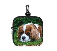 Cavalier King Charles Spaniel Brownish White, Square Zipper Storage Bag, Neoprene Coin Purse, Small Wallets, Change Pouch, Change Purse
